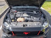 Ford Mustang V8 GT