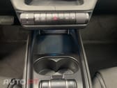 BYD Dolphin Design 
