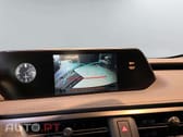 Lexus UX Business