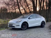 Tesla Model Y PERFORMANCE DUAL MOTOR AWD
