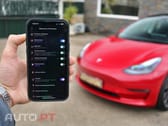 Tesla Model 3 PERFORMANCE 533cv - 560km Aut