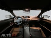 Lexus UX Business