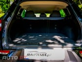 Renault Kadjar BLUE dCi 115 Deluxe-Pack LIMITED