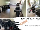 Triumph Speed Triple Speed Triple 900