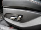 BYD Dolphin Comfort