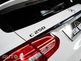 Mercedes-Benz C 250 CDi Avantgarde BlueEfficiency Aut.