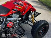 Articcat Outro Modelo DVX 400