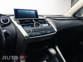 Lexus NX Executive