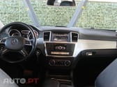 Mercedes-Benz ML 250 BlueTEC