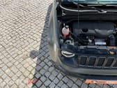 Jeep Renegade 1.3 TG Trailhawk