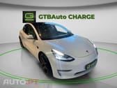 Tesla Model 3 PERFORMACE DUAL MOTOR