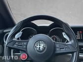 Alfa Romeo Stelvio V6 2.9 Bi-Turbo AT8-Q4 Quadrifoglio