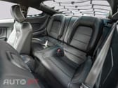 Ford Mustang GT 5.0 500 SHELBY PREMIUM