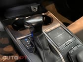 Lexus UX Business