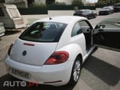 Volkswagen New Beetle Beetle