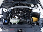 Ford Mustang 5.0 Ti-VCT V8 Aut. MACH1
