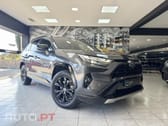 Toyota RAV4 HDF Square Collection