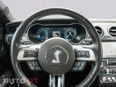 Ford Mustang GT 5.0 500 SHELBY PREMIUM