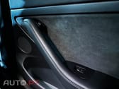 Tesla Model 3 Performance Dual Motor AWD