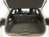 Ford Puma 1.0 Flexifuel mHEV ST-Line