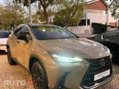 Lexus NX Executive