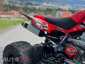 Articcat Outro Modelo DVX 400