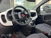 Fiat Panda Fiat Panda 1.0 Hybrid Pandina