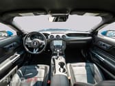 Ford Mustang GT 5.0 500 SHELBY PREMIUM