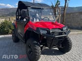 Polaris ATP Buggy RZR 800