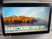 BYD Dolphin Surf Active