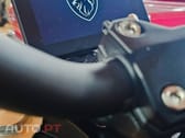 Peugeot Tweet 125 PM-01