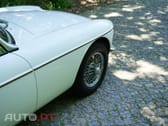 MG MGB Pull Handle