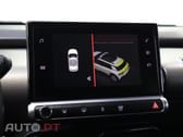 Citroen C4 Cactus 1.5 BlueHDi Bussines Shine