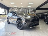 Toyota RAV4 HDF Square Collection