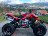 Articcat Outro Modelo DVX 400