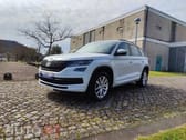 Skoda Kodiaq 2.0 TDI Ambition DSG