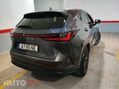 Lexus NX Executive