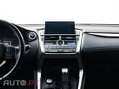 Lexus NX Executive