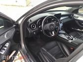Mercedes-Benz C 300 Bluetec Hybrid