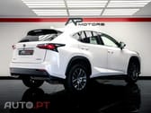 Lexus NX Executive