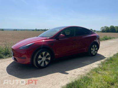 Tesla Model Y RWD