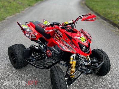 Articcat Outro Modelo DVX 400