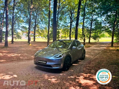 Tesla Model Y Performance Dual Motor AWD