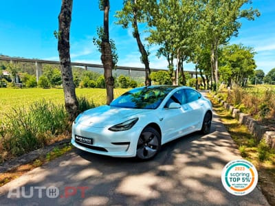 Tesla Model 3 Standard RWD Plus