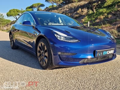 Tesla Model 3 AWD Dual Motor Performance