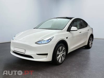 Tesla Model Y Standard RWD