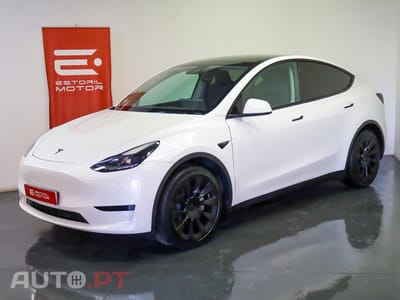 Tesla Model Y Performance Dual Motor AWD
