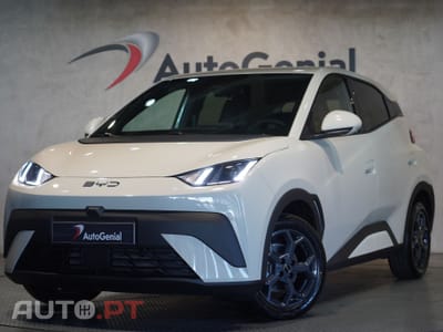 BYD Dolphin Surf Comfort