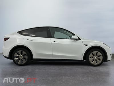 Tesla Model Y Standard RWD