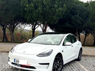 Tesla Model 3 Standard Plus